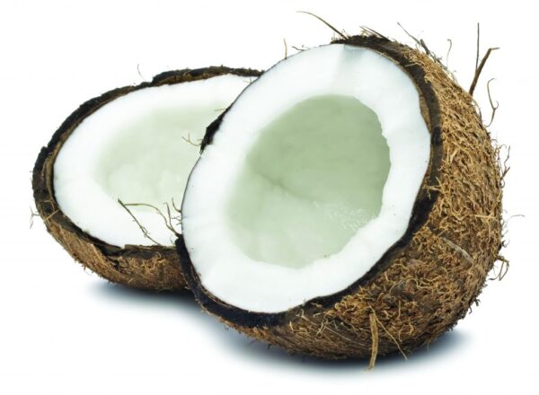 coconut